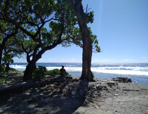 Rückblick auf die Zeit in Moorea