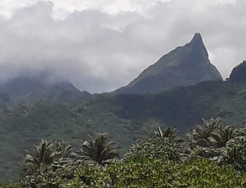 Freiheit mit einem lachenden und einem weinenden Auge