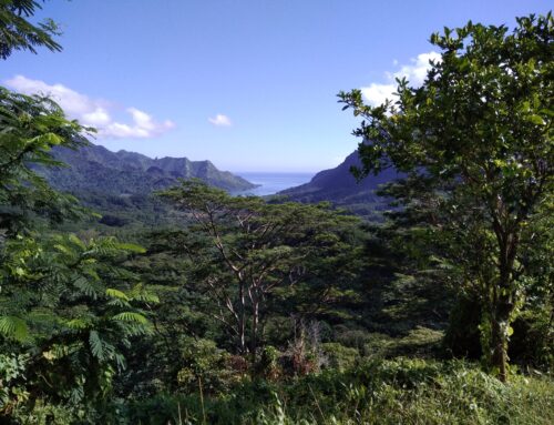 Eine lustige Überraschung